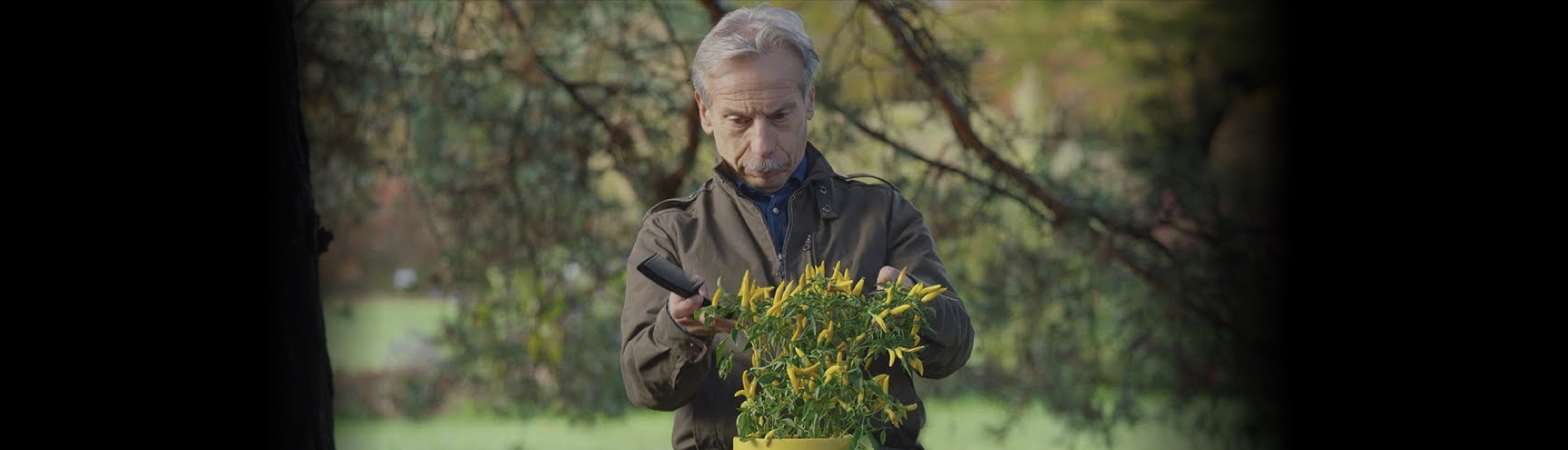 Giovanni e lo straordinario mondo delle piante